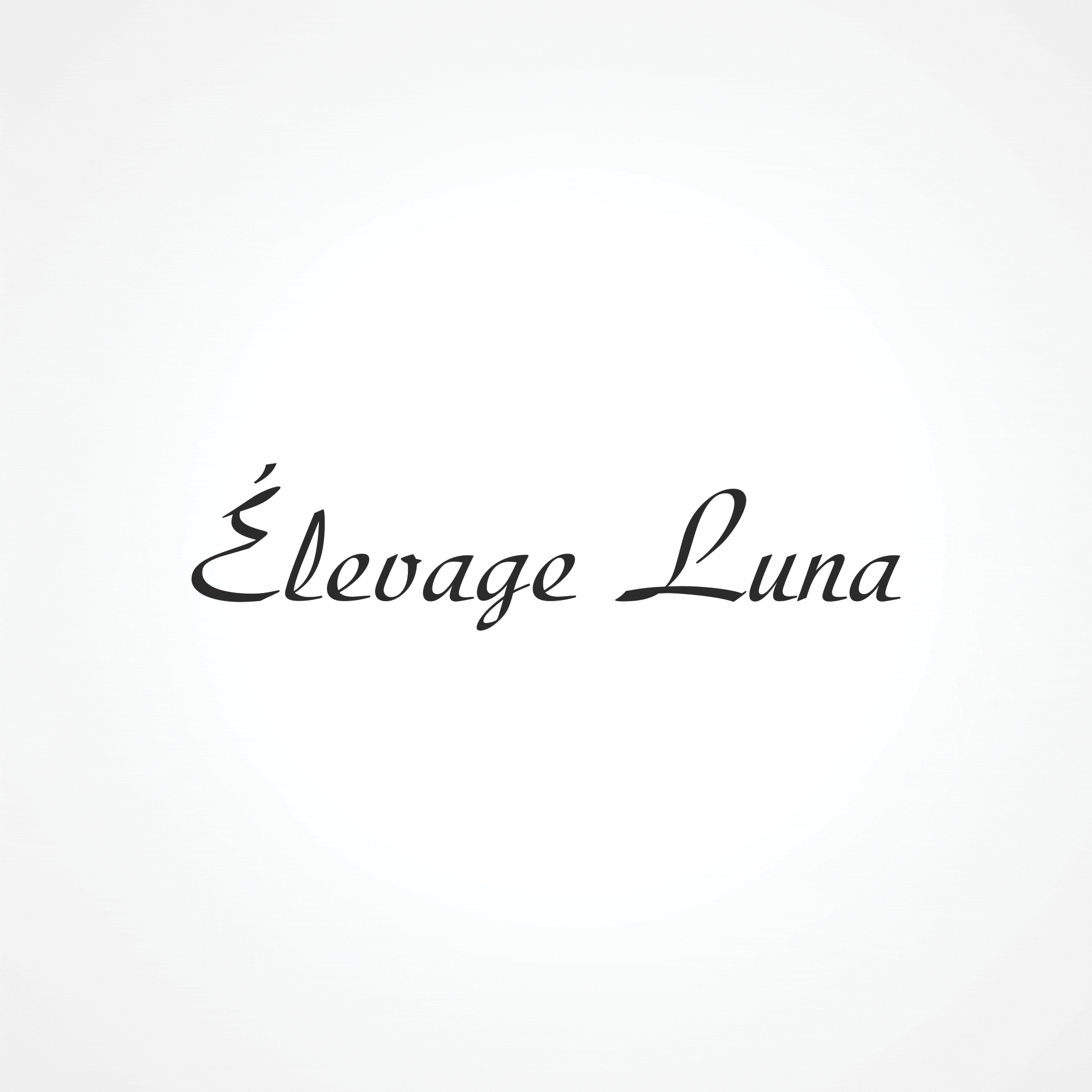 Animation du processus de conception du logo pour Élevage Luna
